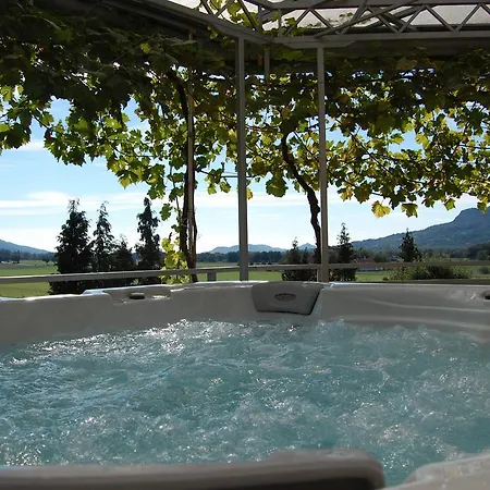 Judit Panzio 3* Gyulakeszi