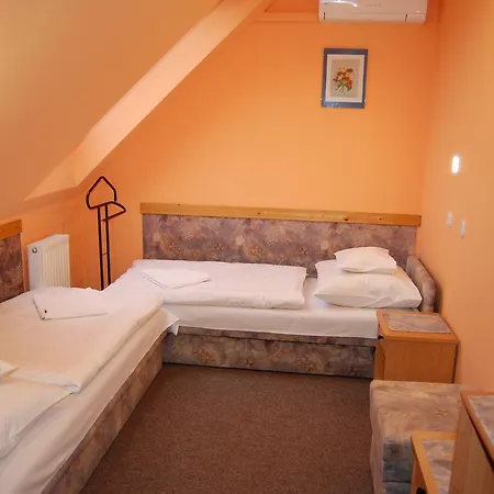 Judit Panzio Gyulakeszi