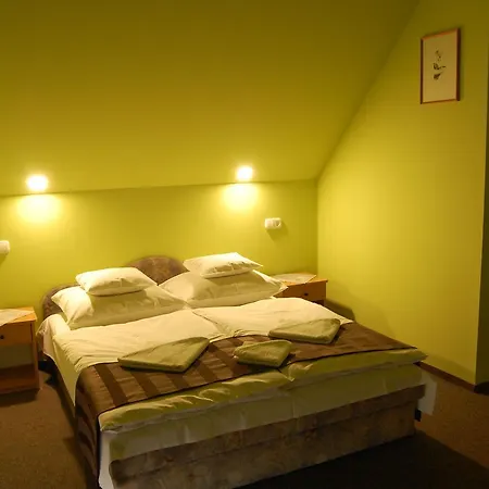 ゲストハウス Judit Panzio 3*