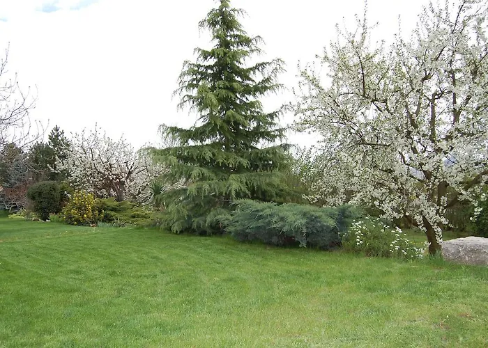 Judit Panzio Pensión