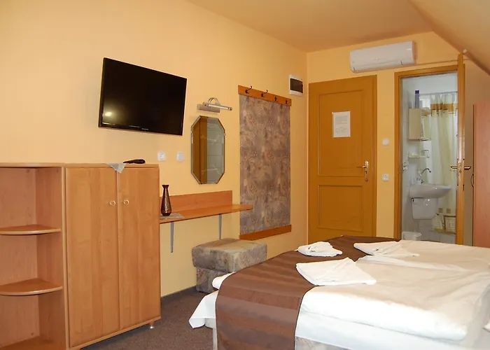 Judit Panzio Pensión Gyulakeszi