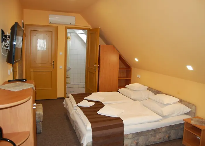 Judit Panzio Pensión 3*