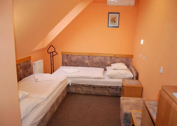 Judit Panzio Gyulakeszi