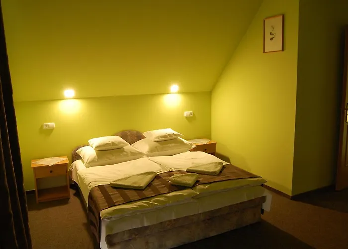 Pensión Judit Panzio 3*